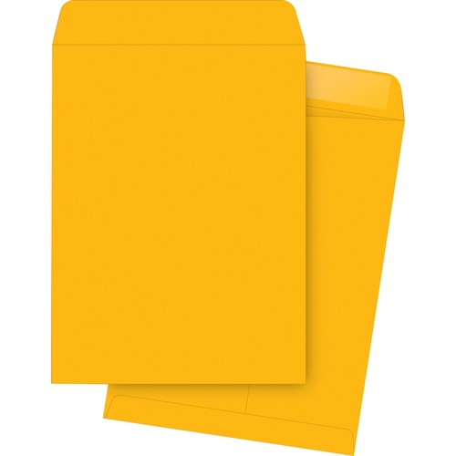 Business Source  Catalog Envelopes, 24 lb, 9"x12", 250/BX, Kraft