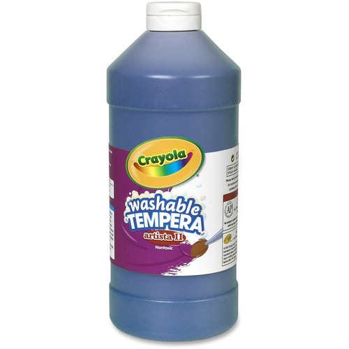 PAINT,TMPRA,WSH,32 OZ,BE