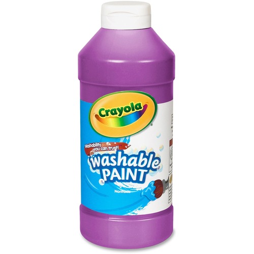 PAINT,16 OZ WSHABLE,VL