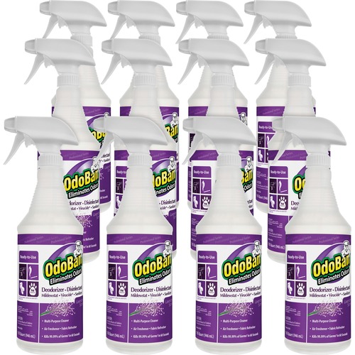 Clean Control Corporation  Deodorizer Disinfectant Spray, 32oz., Lavender, 12/CT, PE