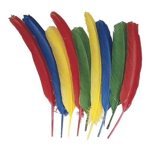 FEATHERS,QUILL,24PK,AST