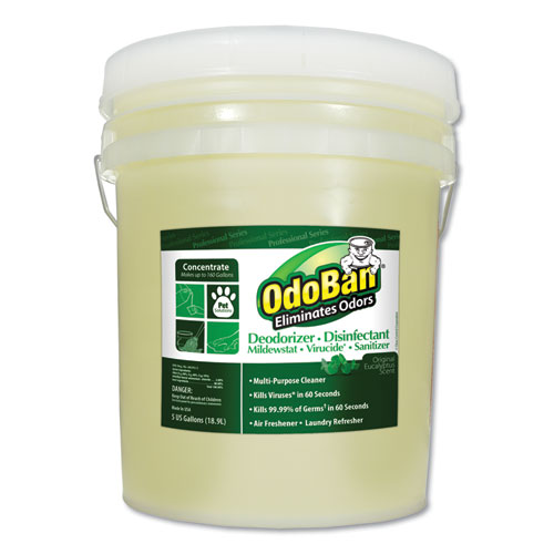 DISINFECTANT,ODO BAN,5GAL