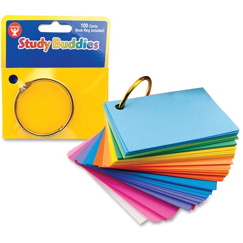 FLASHCARDS,FLIP,2X3,100PK