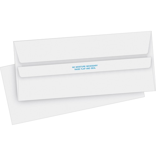 Business Source  Self-Seal Envelopes, Reg, Plain, 4-1/8"x9-1/2", 500/BX, WE