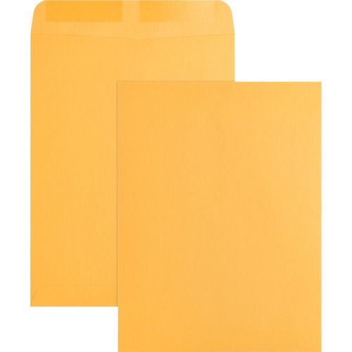 Business Source  Catalog Envelopes, Plain, 9"x12", 250/BX, Kraft