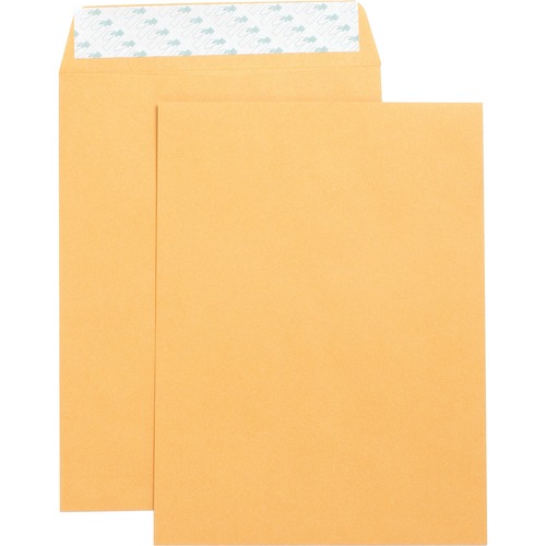 Business Source  Catalog Envelopes,Self Seal,Plain,9"x12",250/BX,Kraft