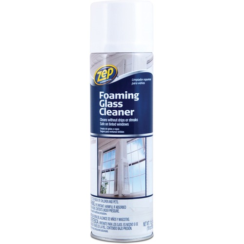 FOAMING GLASS CLEANER, PLEASANT SCENT, 19 OZ BOTTLE, 12/CARTON